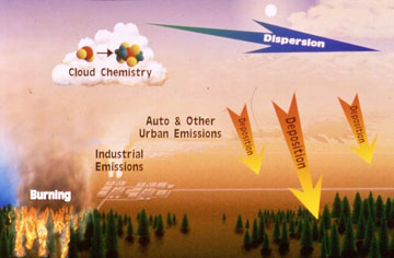 Graphic showing mechanism of acid deposition