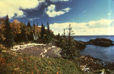 Forested hillside above water