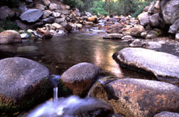 Mountain stream